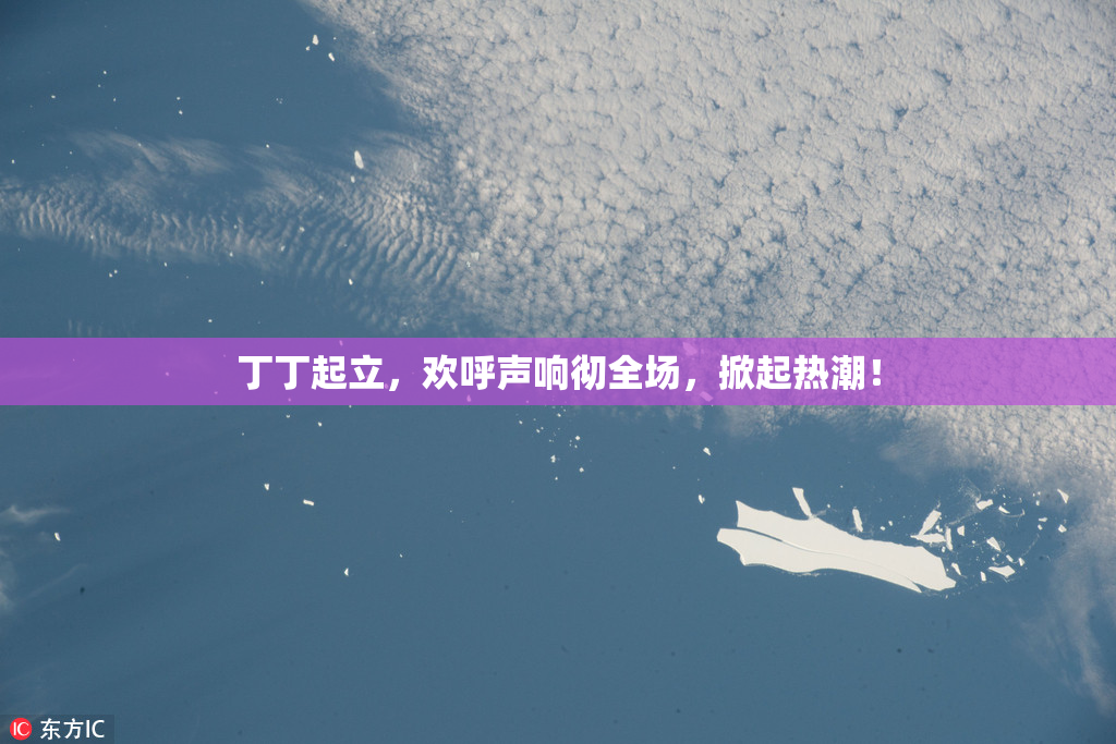 丁丁起立，欢呼声响彻全场，掀起热潮！