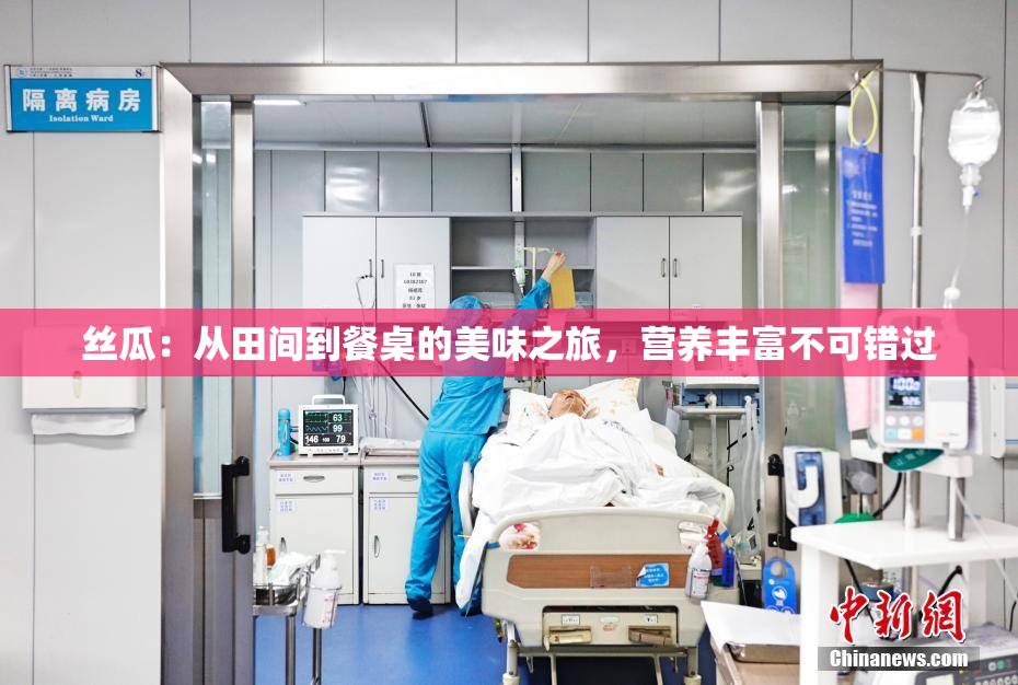 丝瓜：从田间到餐桌的美味之旅，营养丰富不可错过