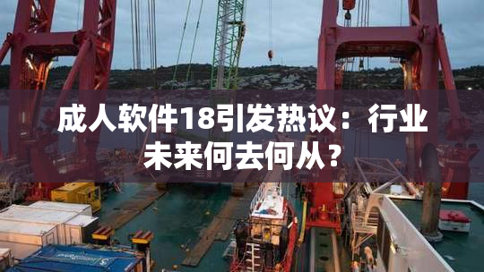 成人软件18引发热议：行业未来何去何从？
