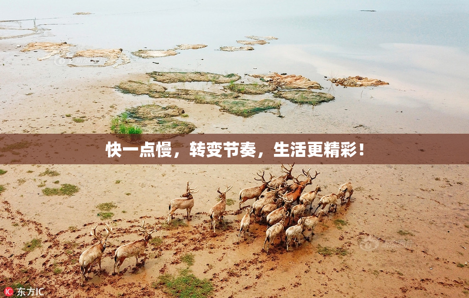 快一点慢，转变节奏，生活更精彩！