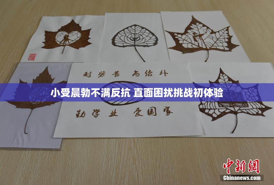 小受晨勃不满反抗 直面困扰挑战初体验