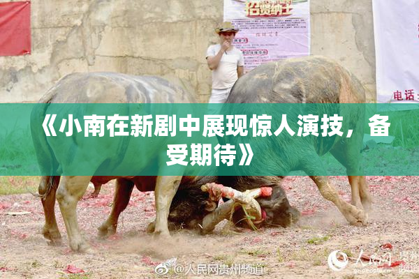 《小南在新剧中展现惊人演技，备受期待》