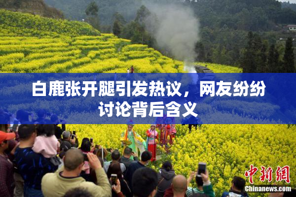 白鹿张开腿引发热议，网友纷纷讨论背后含义