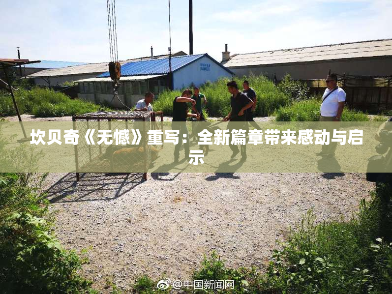 坎贝奇《无憾》重写：全新篇章带来感动与启示