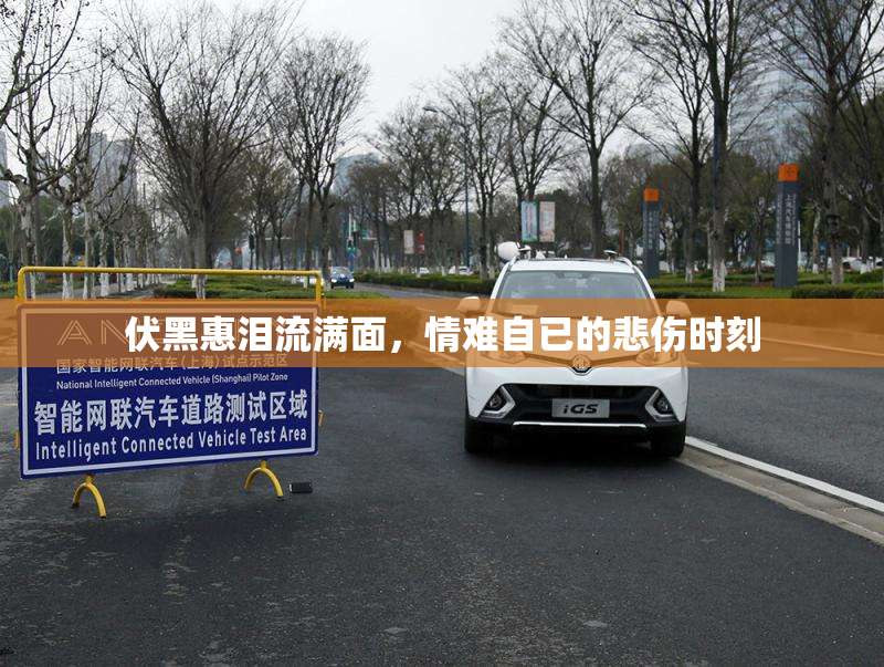 伏黑惠泪流满面，情难自已的悲伤时刻