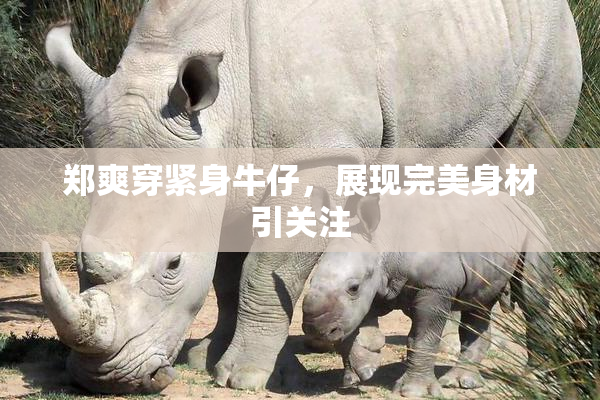 郑爽穿紧身牛仔，展现完美身材引关注