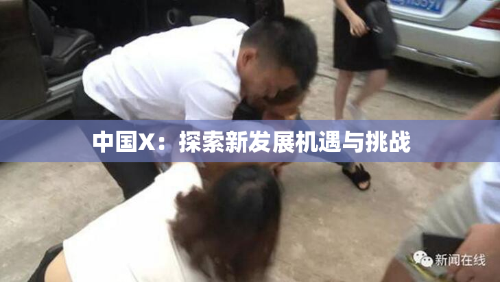 中国X：探索新发展机遇与挑战