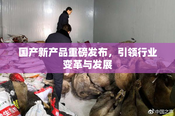 国产新产品重磅发布，引领行业变革与发展