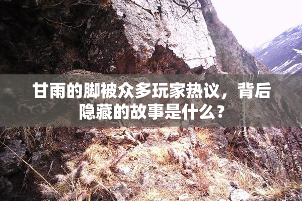 甘雨的脚被众多玩家热议，背后隐藏的故事是什么？