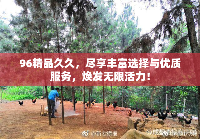 96精品久久，尽享丰富选择与优质服务，焕发无限活力！