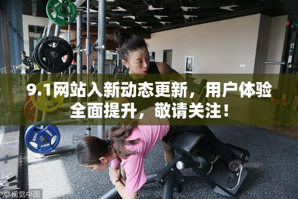 9.1网站入新动态更新，用户体验全面提升，敬请关注！