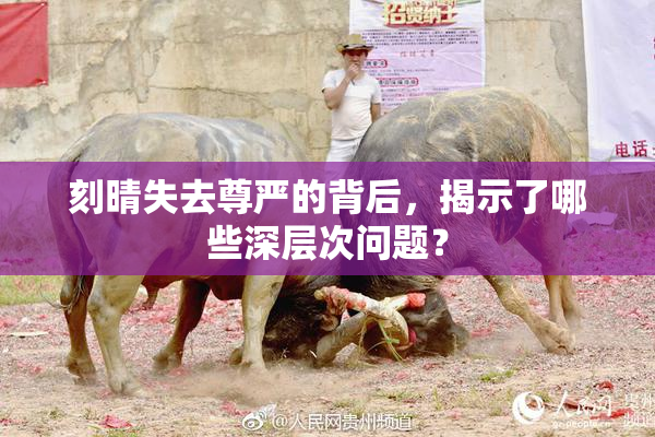 刻晴失去尊严的背后，揭示了哪些深层次问题？