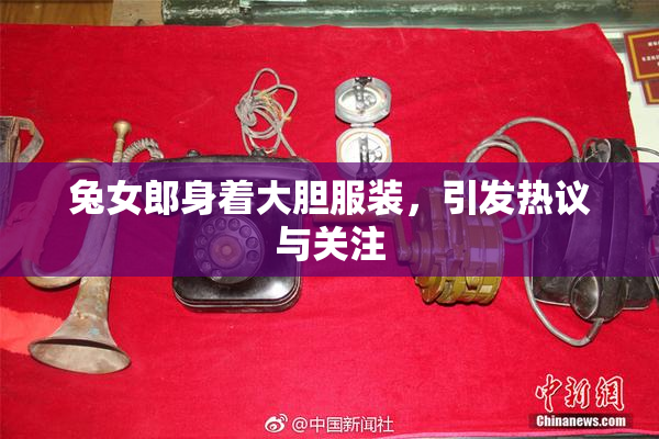 兔女郎身着大胆服装，引发热议与关注