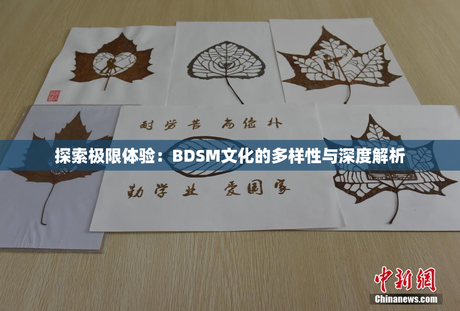 探索极限体验：BDSM文化的多样性与深度解析