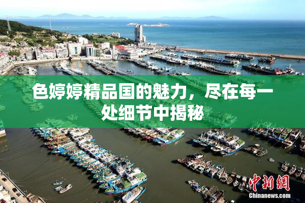 色婷婷精品国的魅力，尽在每一处细节中揭秘