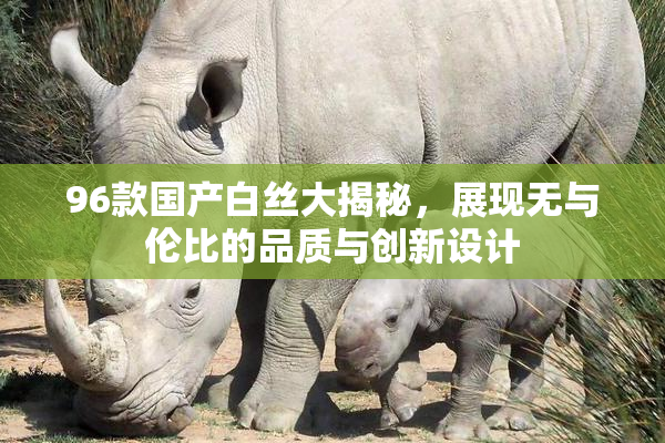 96款国产白丝大揭秘，展现无与伦比的品质与创新设计