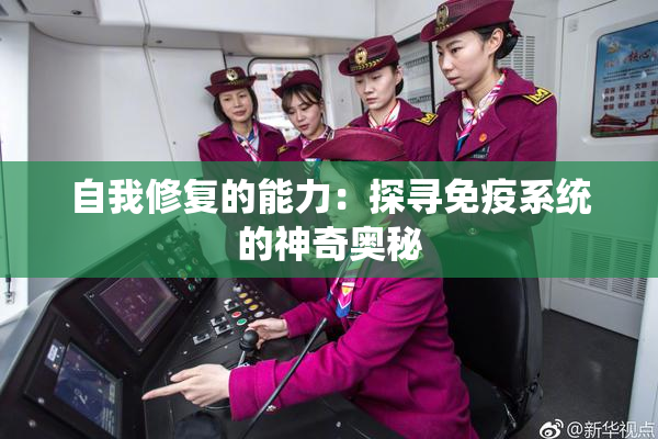 自我修复的能力：探寻免疫系统的神奇奥秘