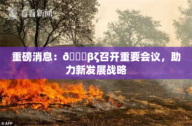 重磅消息：👙βζ召开重要会议，助力新发展战略