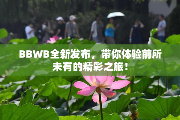 BBWB全新发布，带你体验前所未有的精彩之旅！