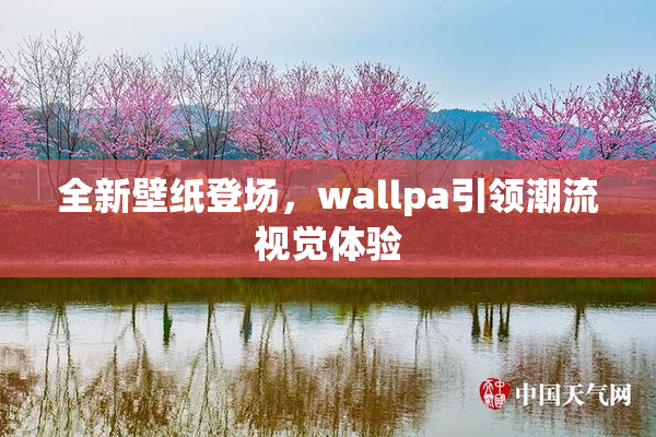 全新壁纸登场，wallpa引领潮流视觉体验