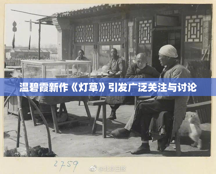 温碧霞新作《灯草》引发广泛关注与讨论