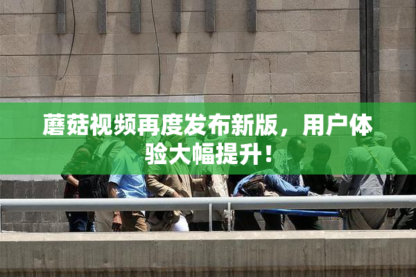 蘑菇视频再度发布新版，用户体验大幅提升！