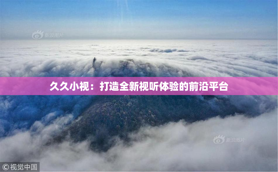 久久小视：打造全新视听体验的前沿平台