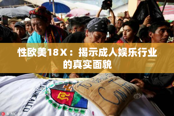 性欧美18Ⅹ：揭示成人娱乐行业的真实面貌