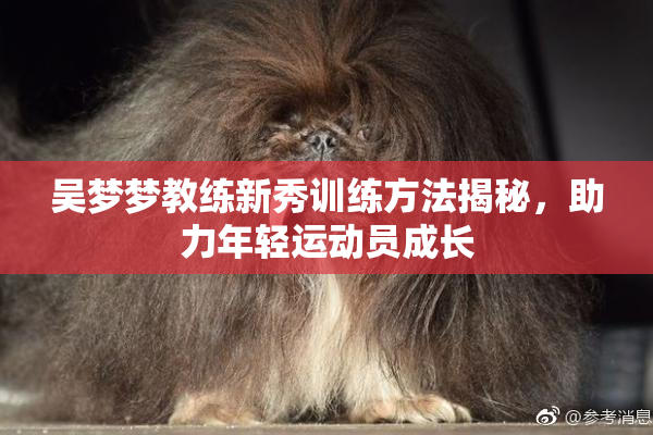 吴梦梦教练新秀训练方法揭秘，助力年轻运动员成长