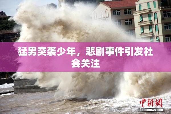 猛男突袭少年，悲剧事件引发社会关注
