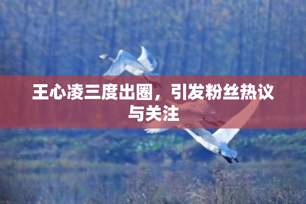 王心凌三度出圈，引发粉丝热议与关注