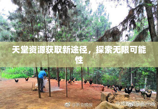 天堂资源获取新途径，探索无限可能性