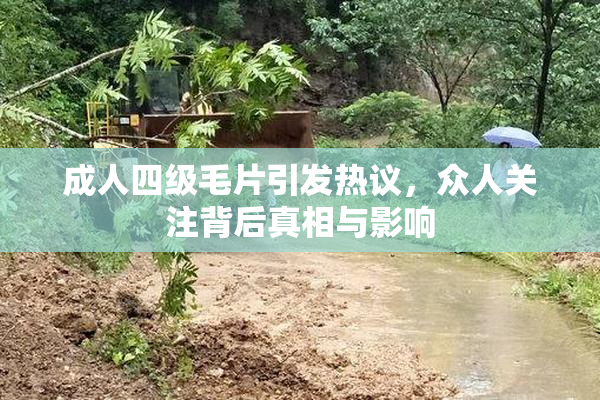 成人四级毛片引发热议，众人关注背后真相与影响
