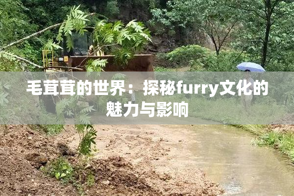 毛茸茸的世界：探秘furry文化的魅力与影响