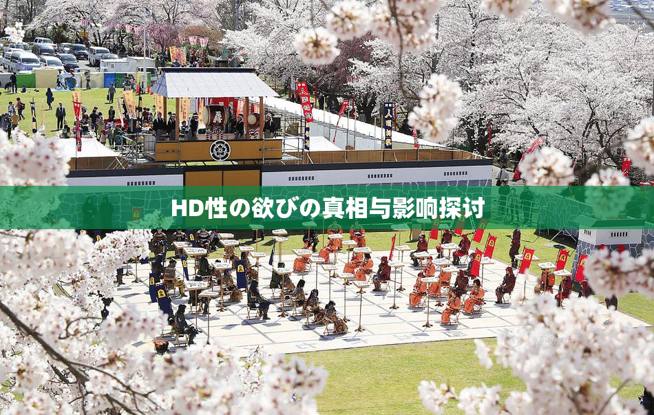 HD性の欲びの真相与影响探讨