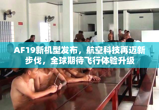 AF19新机型发布，航空科技再迈新步伐，全球期待飞行体验升级