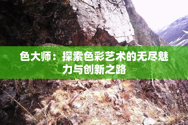 色大师：探索色彩艺术的无尽魅力与创新之路