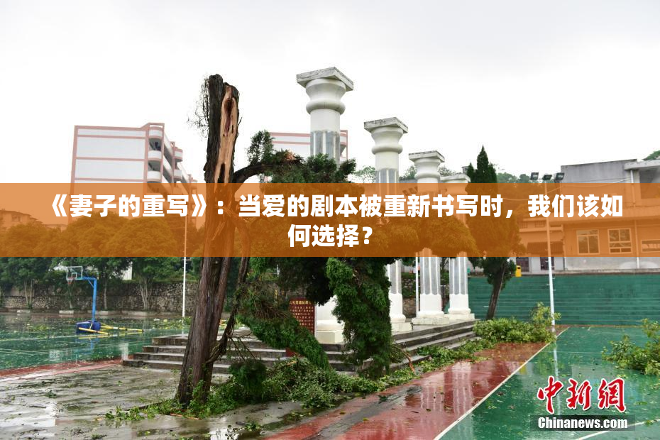 《妻子的重写》：当爱的剧本被重新书写时，我们该如何选择？