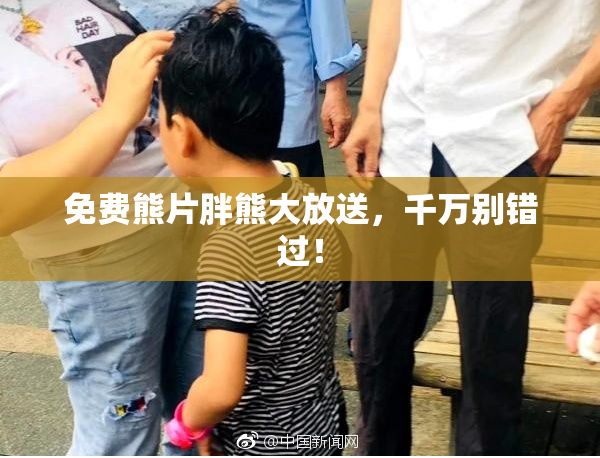 免费熊片胖熊大放送，千万别错过！