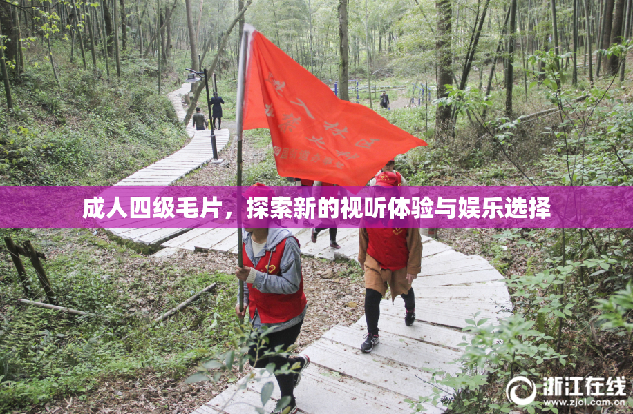 成人四级毛片，探索新的视听体验与娱乐选择