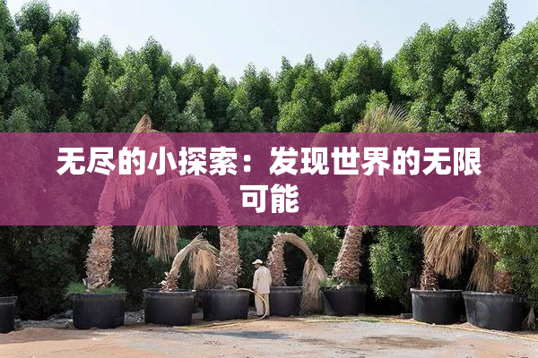 无尽的小探索：发现世界的无限可能