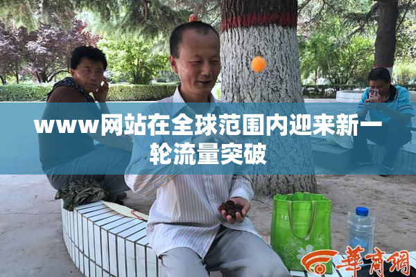 www网站在全球范围内迎来新一轮流量突破