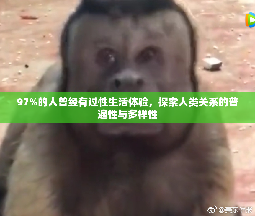 97%的人曾经有过性生活体验，探索人类关系的普遍性与多样性