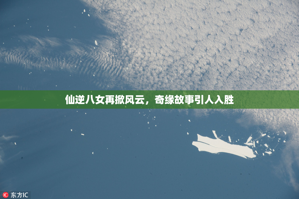 仙逆八女再掀风云，奇缘故事引人入胜