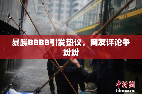 暴躁BBBB引发热议，网友评论争纷纷