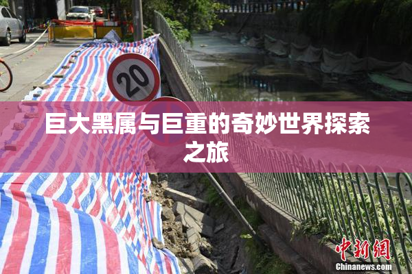巨大黑属与巨重的奇妙世界探索之旅