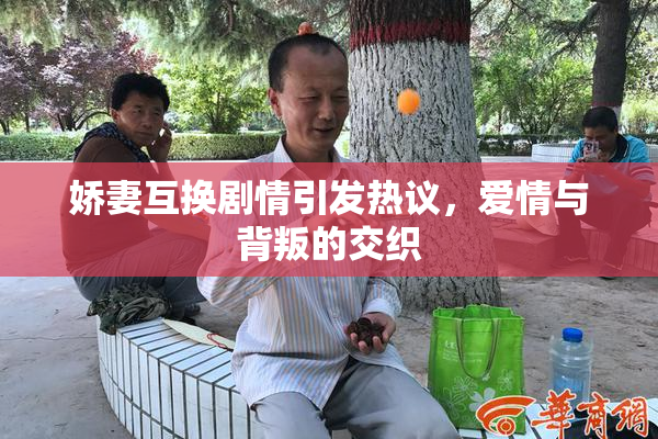 娇妻互换剧情引发热议，爱情与背叛的交织