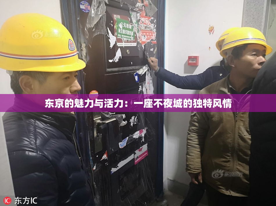 东京的魅力与活力：一座不夜城的独特风情