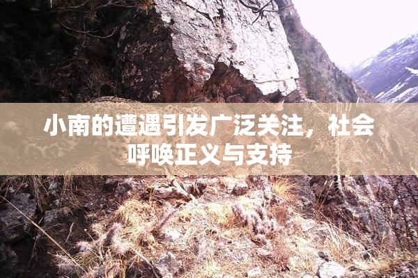 小南的遭遇引发广泛关注，社会呼唤正义与支持