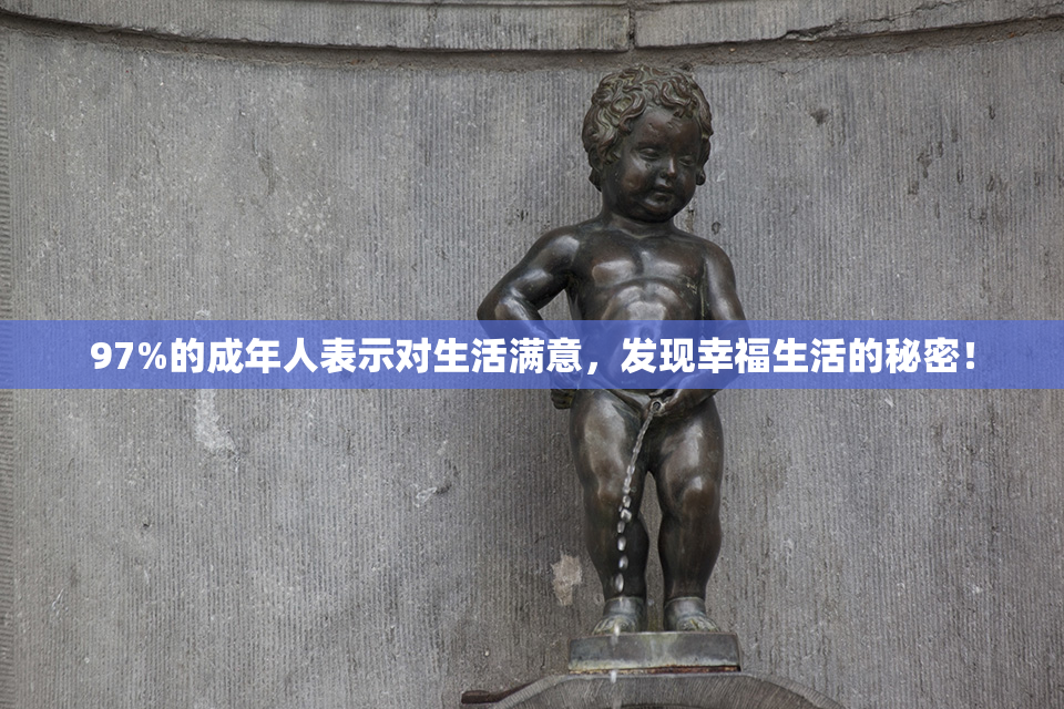 97%的成年人表示对生活满意，发现幸福生活的秘密！